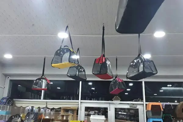 PET STATİON PET SHOP ,AKVARYUM,KEDİ KÖPEK MAMASI ERYAMAN,ALO MAMA - Resim 10
