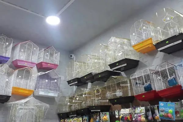 PET STATİON PET SHOP ,AKVARYUM,KEDİ KÖPEK MAMASI ERYAMAN,ALO MAMA - Resim 11