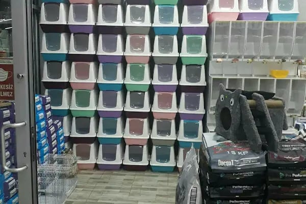 PET STATİON PET SHOP ,AKVARYUM,KEDİ KÖPEK MAMASI ERYAMAN,ALO MAMA - Resim 14