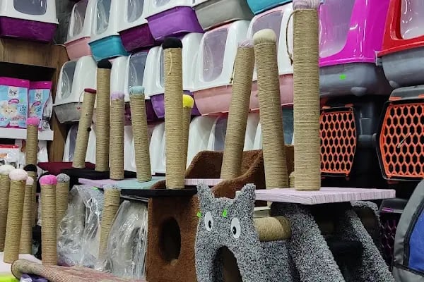 PET STATİON PET SHOP ,AKVARYUM,KEDİ KÖPEK MAMASI ERYAMAN,ALO MAMA - Resim 12