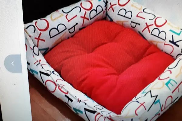PET STATİON PET SHOP ,AKVARYUM,KEDİ KÖPEK MAMASI ERYAMAN,ALO MAMA - Resim 5