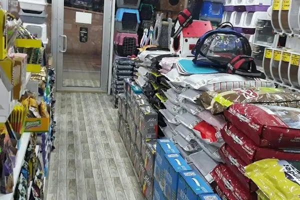 PET STATİON PET SHOP ,AKVARYUM,KEDİ KÖPEK MAMASI ERYAMAN,ALO MAMA - Resim 17