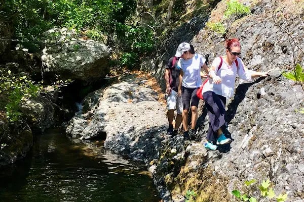 Niceaevents Turizm İznik - Resim 19