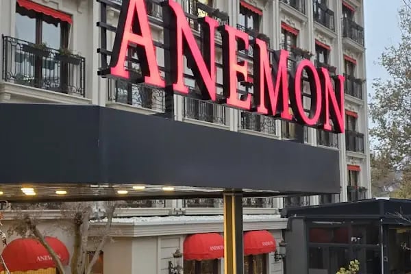 Anemon Bursa Otel - Resim 6