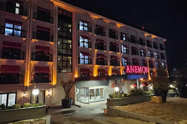 Anemon Bursa Otel - Resim 7