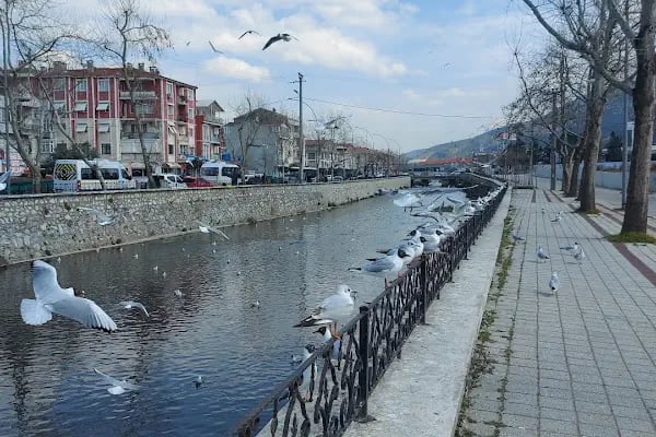 Gemlik Terminali - Resim 9