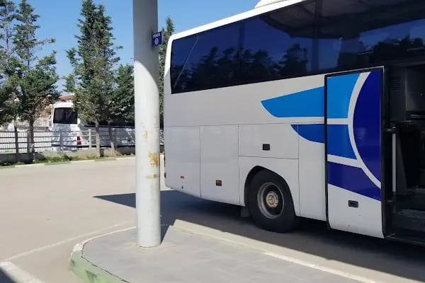 Gemlik Terminali - Resim 16