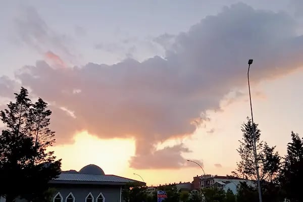 Gemlik Terminali - Resim 14