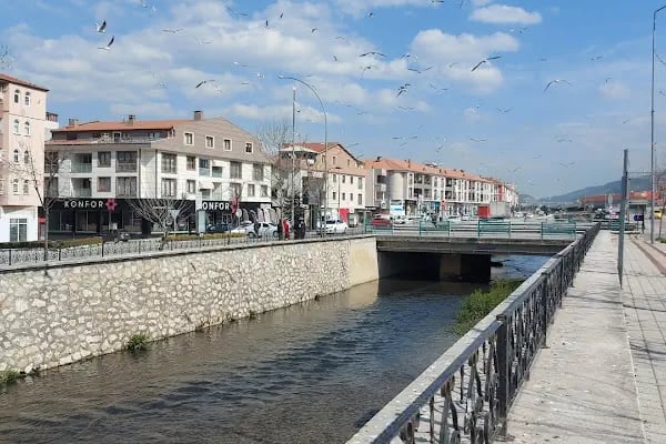 Gemlik Terminali - Resim 17