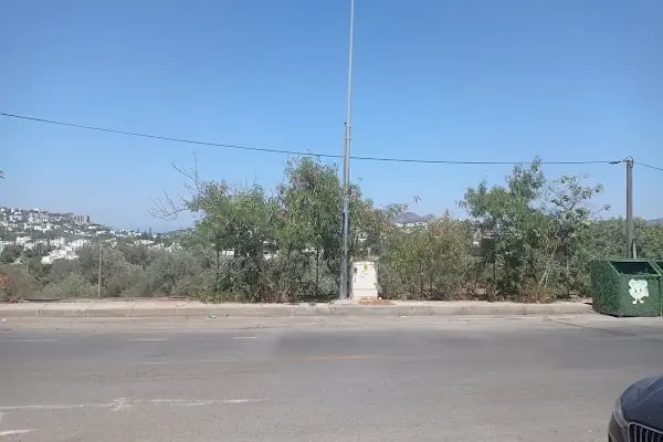 Çepkan Çiçekçilik - Resim 5