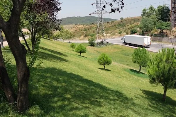 Çayırova Gençlik Parkı - Resim 20