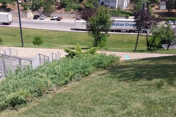 Çayırova Gençlik Parkı - Resim 5
