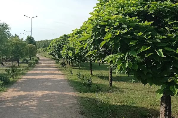 Çağdaşkent Parkı - Resim 16