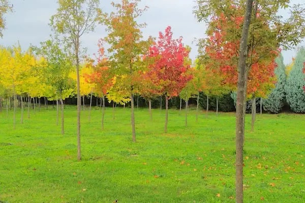 Çağdaşkent Parkı - Resim 3