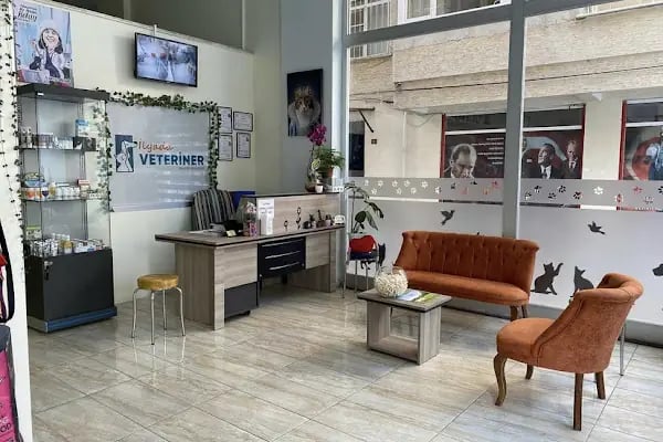 İLYADA VETERİNER Muayenehanesi - Resim 10