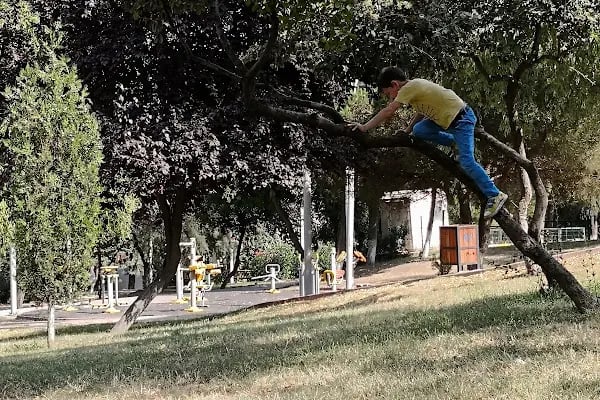 Küçükçekmece Belediyesi Atakent 2.Bölge Parkı Ve Koşu Parkuru - Resim 2