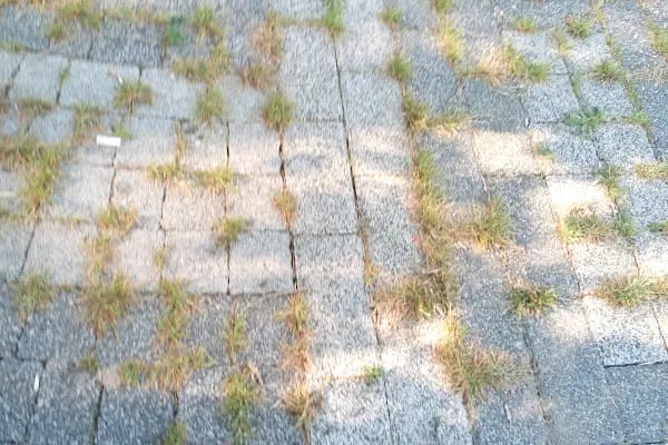 Küçükçekmece Belediyesi Atakent 2.Bölge Parkı Ve Koşu Parkuru - Resim 19