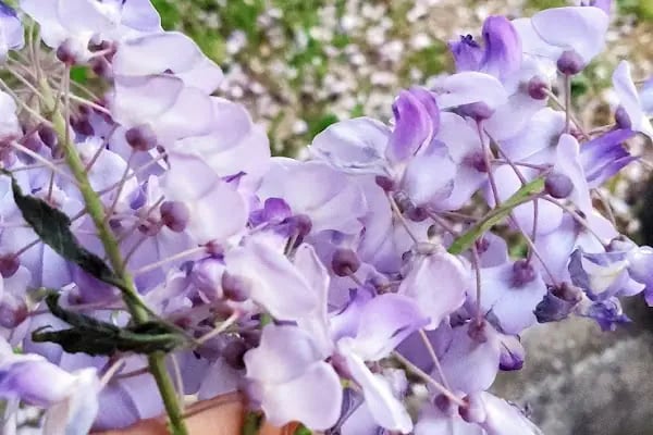 Küçükçekmece Belediyesi Atakent 2.Bölge Parkı Ve Koşu Parkuru - Resim 5