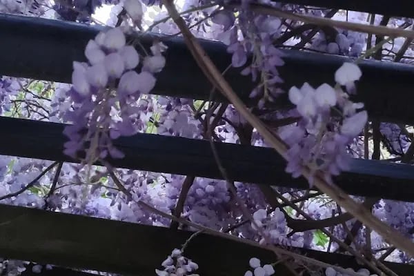 Küçükçekmece Belediyesi Atakent 2.Bölge Parkı Ve Koşu Parkuru - Resim 6