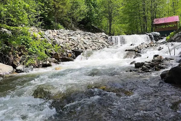 Güzelyayla Şelalesi - Resim 15