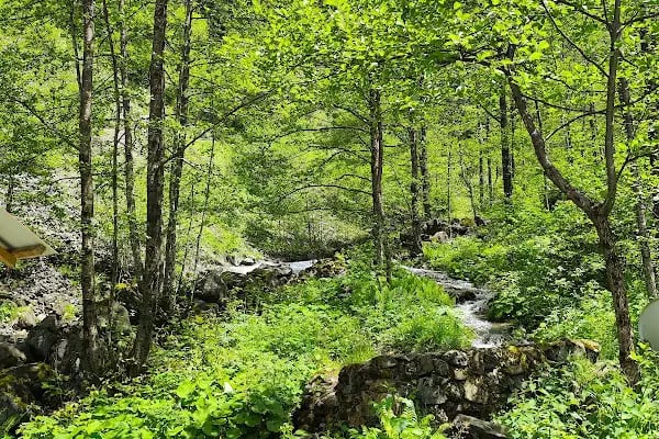 Güzelyayla Şelalesi - Resim 6