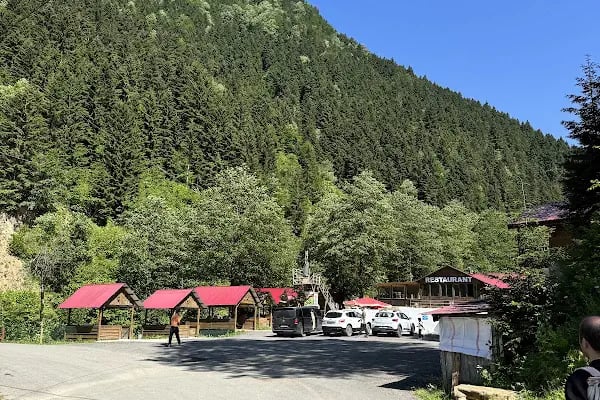 Güzelyayla Şelalesi - Resim 12