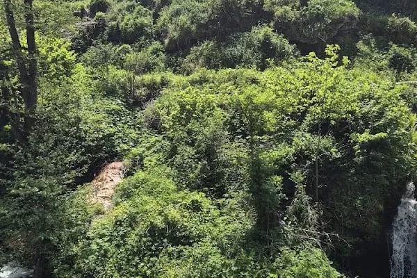 Güzelyayla Şelalesi - Resim 4