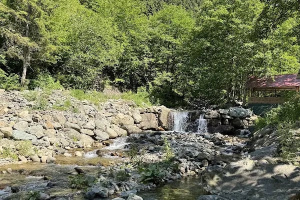 Güzelyayla Şelalesi - Resim 17