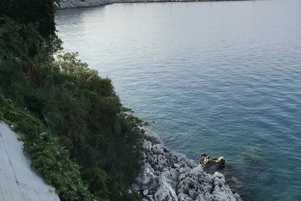 Mavi Ay Balıkevi - Resim 10