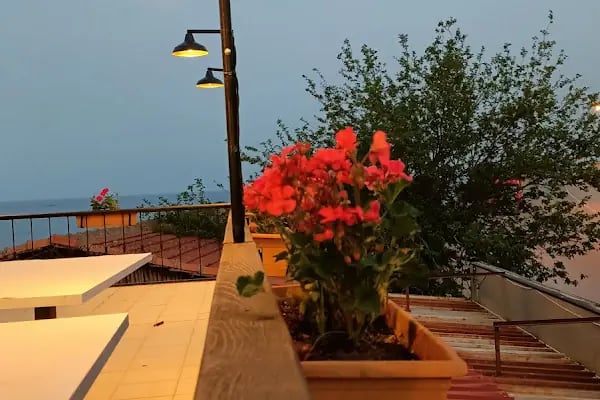 Mavi Ay Balıkevi - Resim 19