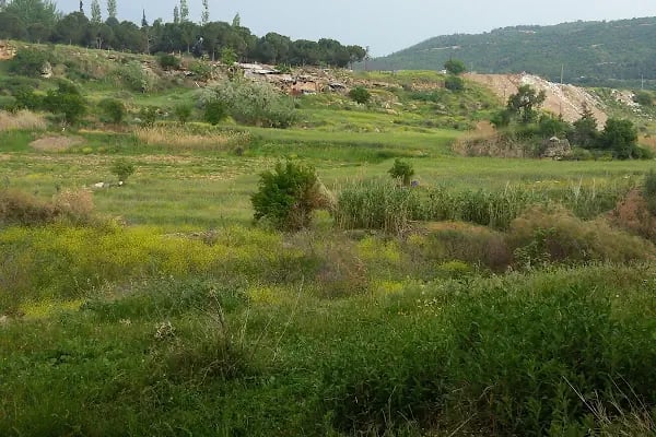 Manisa Alaşehir Devlet Hastanesi - Resim 9