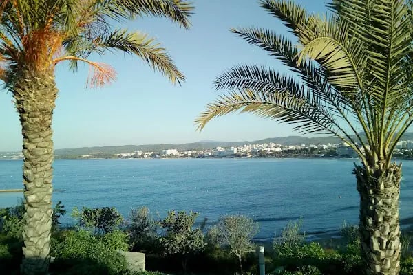 T.C. Sağlık Bakanlığı Manavgat Ağız ve Diş Sağlığı Merkezi - Resim 16