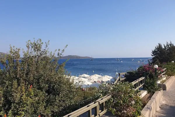 Archipelago Restaurant - Resim 5