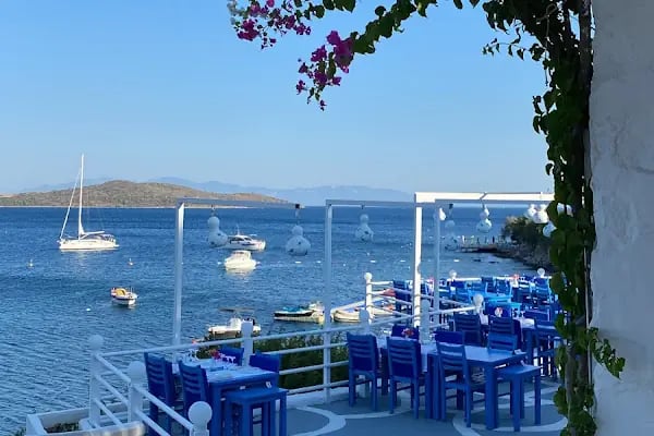 Archipelago Restaurant - Resim 14