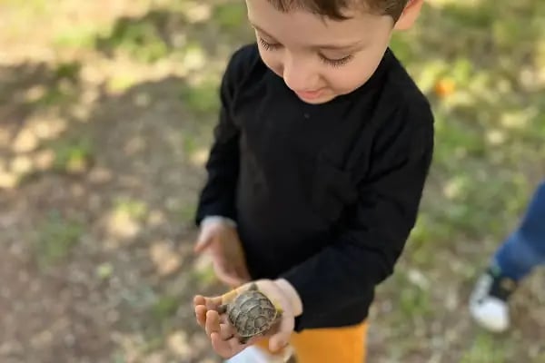 Muzipo Kids Adana - Resim 3