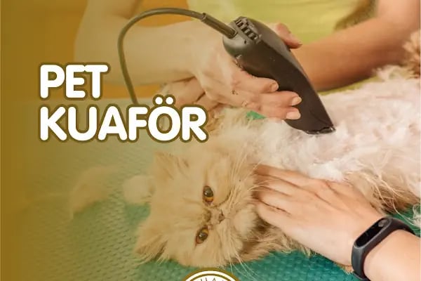 Alphamed Veteriner Kliniği - Resim 15