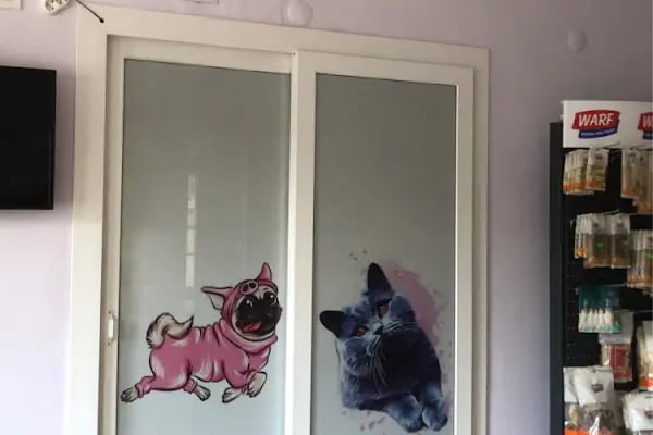 Adanus Veteriner Kliniği - Resim 4