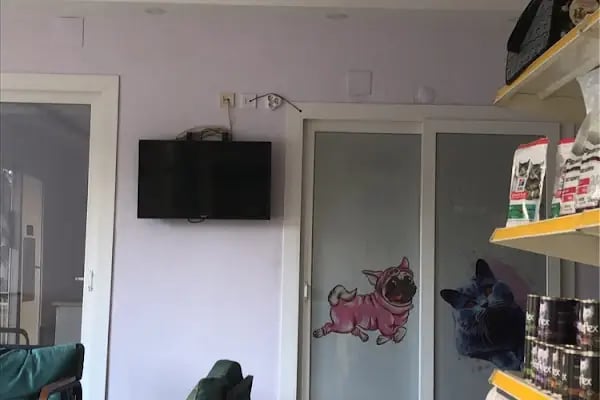 Adanus Veteriner Kliniği - Resim 2