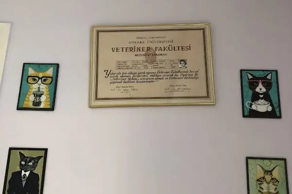Adanus Veteriner Kliniği - Resim 6