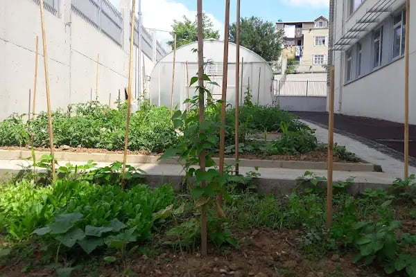 Arnavutköy Özel Egitim Uygulama Okulu - Resim 10