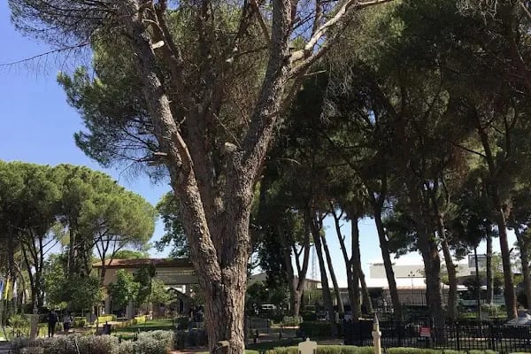 Manisa masal park - Resim 7