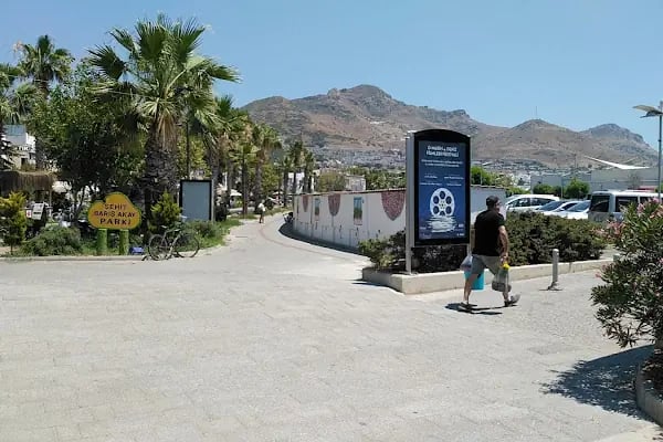 Turgutreis Sanatçılar Sokağı - Resim 12