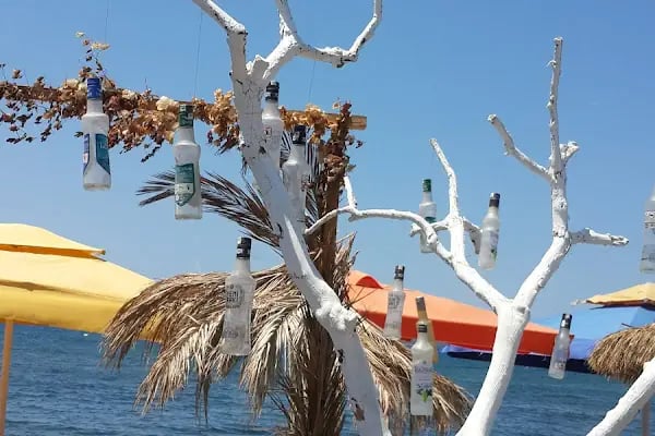 Turgutreis Sanatçılar Sokağı - Resim 8