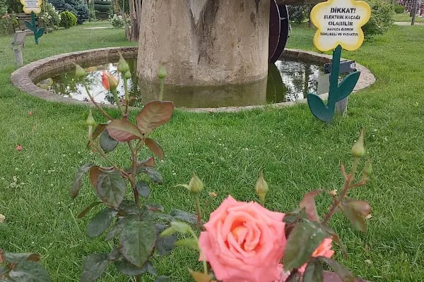 Keçiören Atatürk Doğal Yaşam Parkı - Resim 12