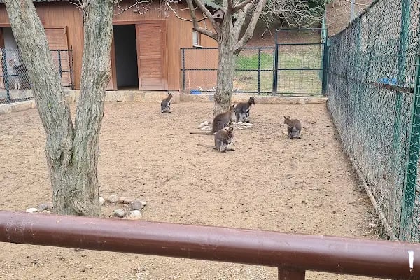 Keçiören Atatürk Doğal Yaşam Parkı - Resim 19