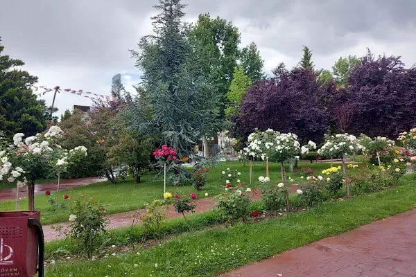 Keçiören Atatürk Doğal Yaşam Parkı - Resim 15