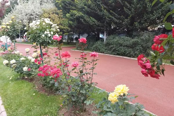 Keçiören Atatürk Doğal Yaşam Parkı - Resim 18