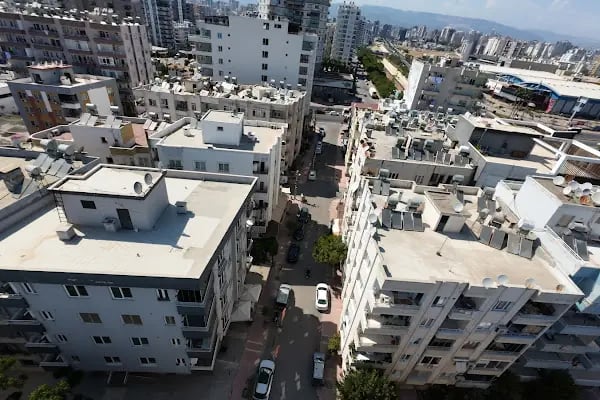 Reyna Pet Shop | Mersin - Resim 9