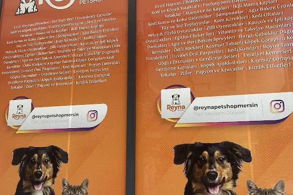 Reyna Pet Shop | Mersin - Resim 17