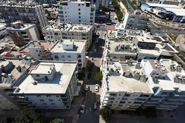 Reyna Pet Shop | Mersin - Resim 6